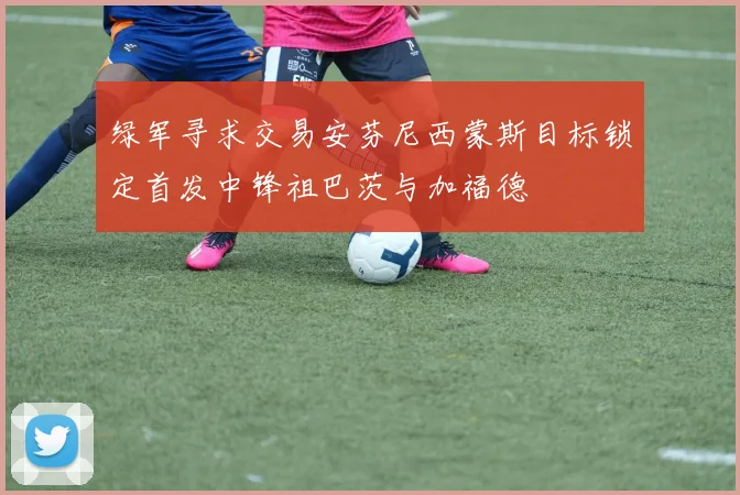 绿军寻求交易安芬尼西蒙斯目标锁定首发中锋祖巴茨与加福德