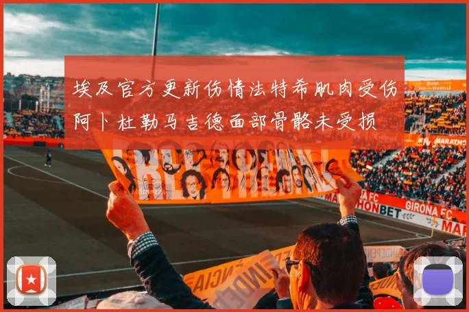 埃及官方更新伤情法特希肌肉受伤阿卜杜勒马吉德面部骨骼未受损